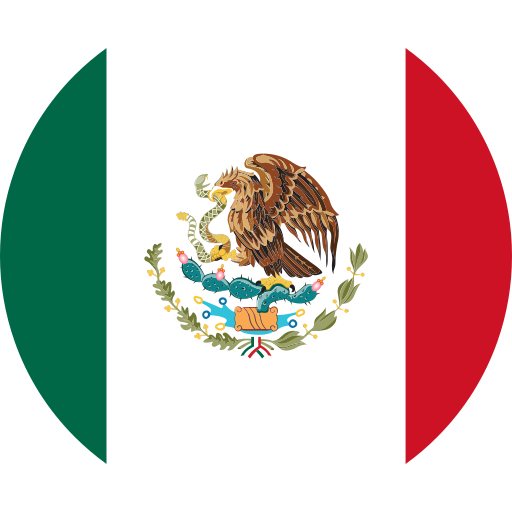 mexico flag or spanish icon